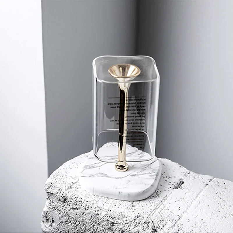 Toothbrush & Toothpaste Holder with Hygroscopic Base